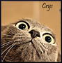 Аватар для Crys