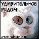 Аватар для lexakiss