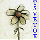 Аватар для TSVETOK